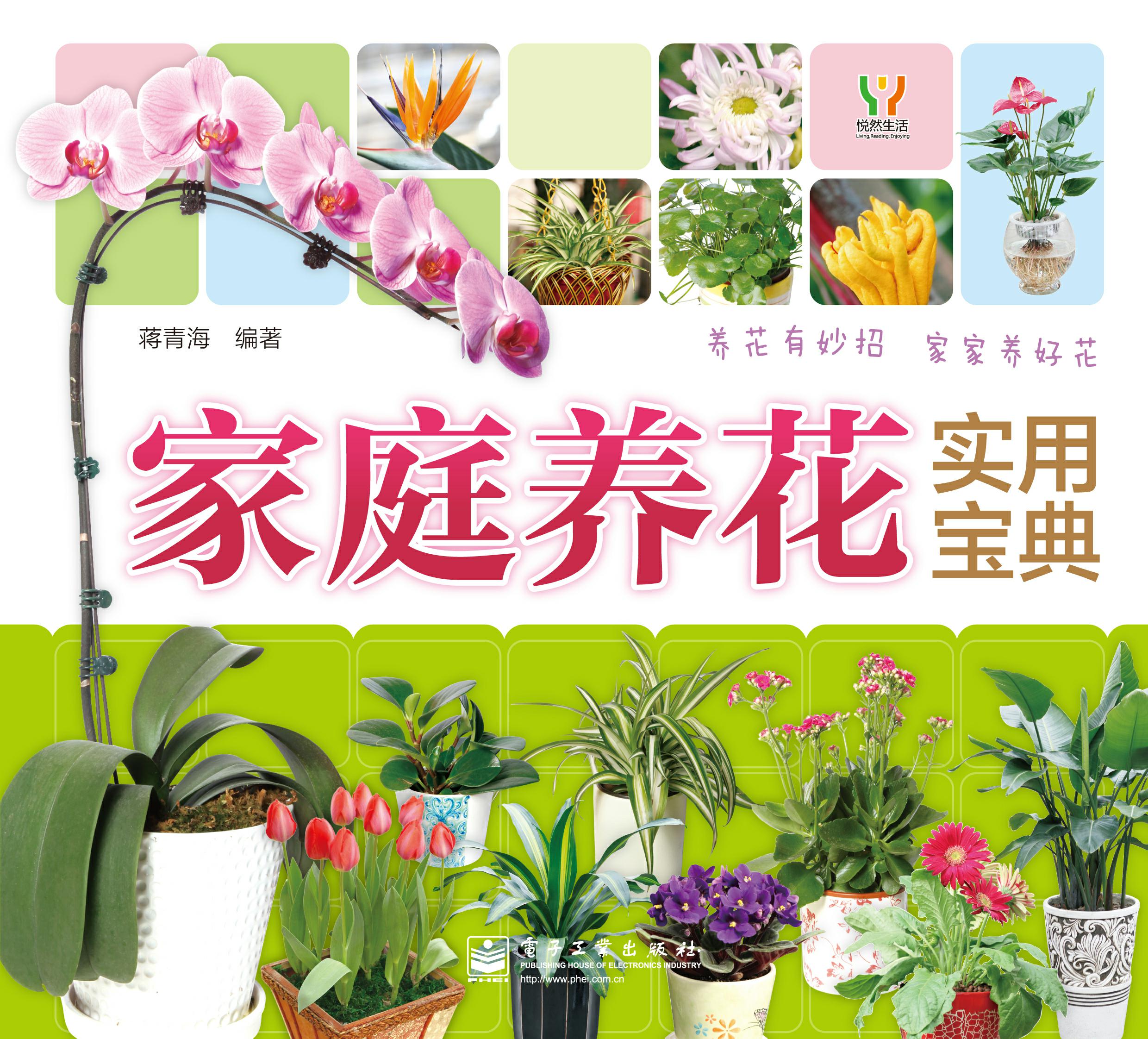 家庭养花实用宝典