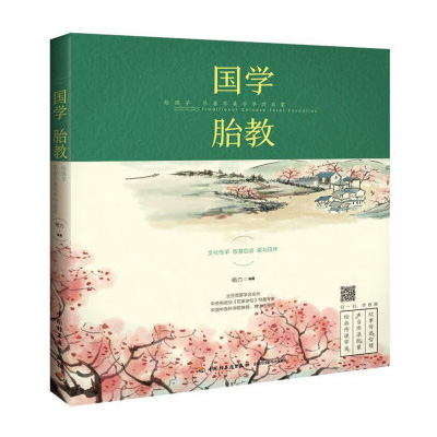 国学胎教-给孩子尽善尽美尽早的启蒙（精品阅读年度好书奖）（中国轻工业出版社）