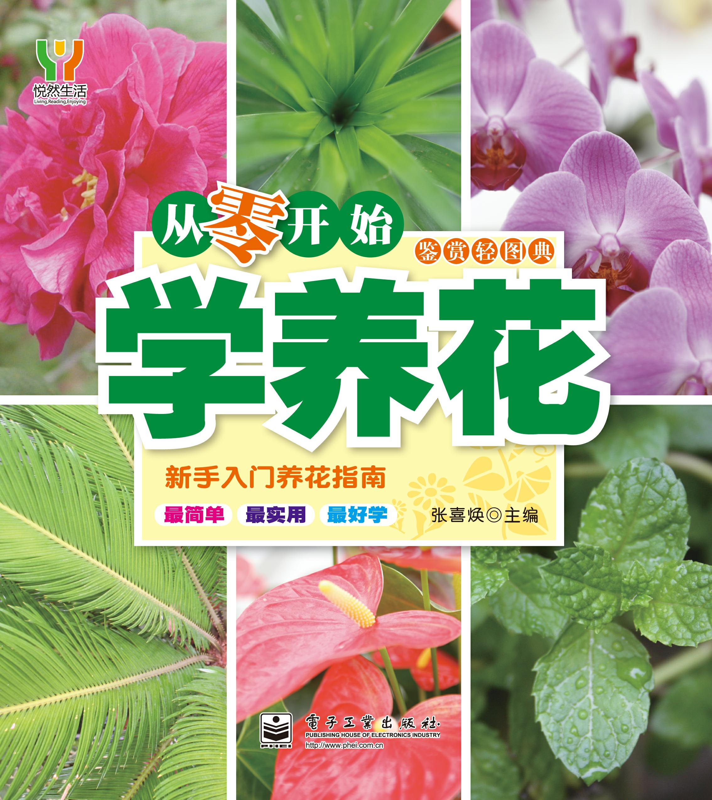 从零开始学养花