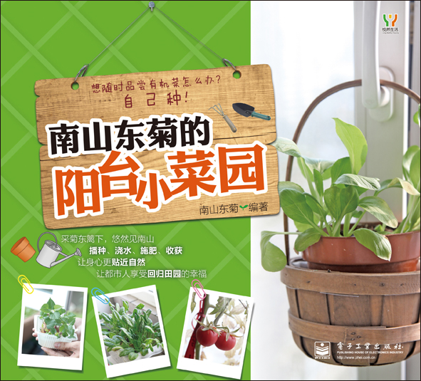 南山东菊的阳台小菜园